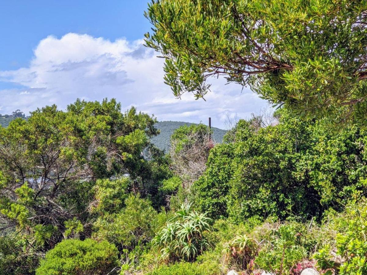 Villa Cape Garden Route Wilderness Luaran gambar